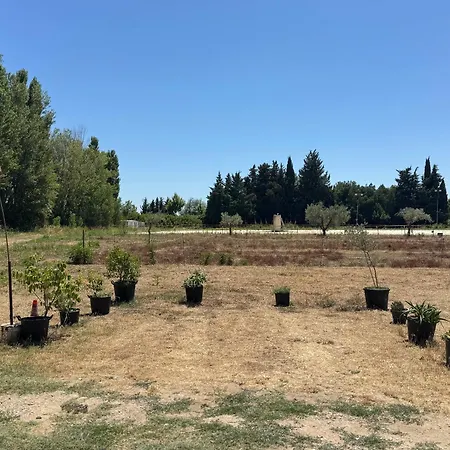 Le Bureau Du Haras, Bouillargues